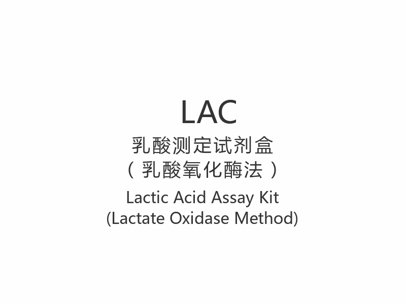 【LAC】Lactic Acid Assay Kit (Lactate Oxidase Method)